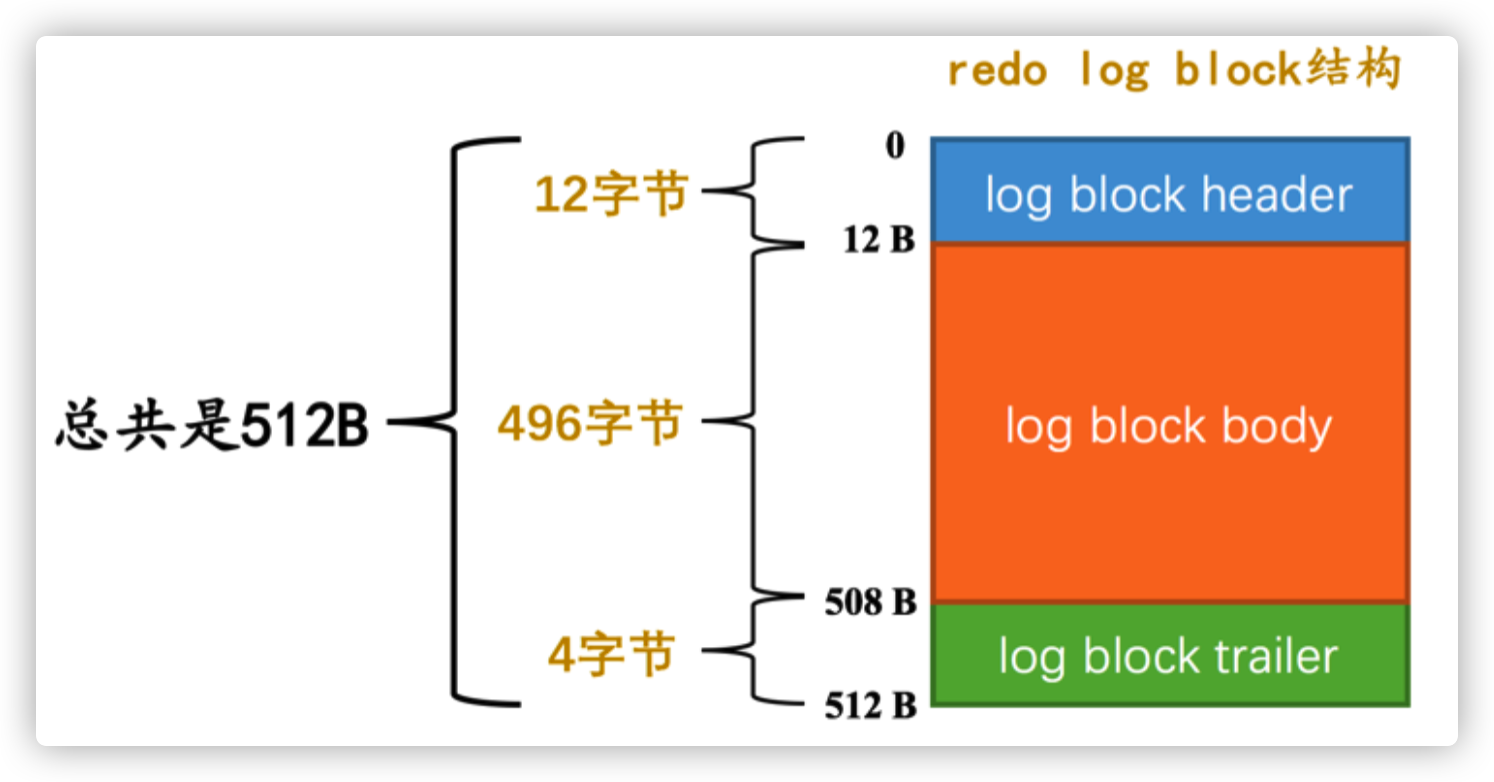 image-20220310115406269