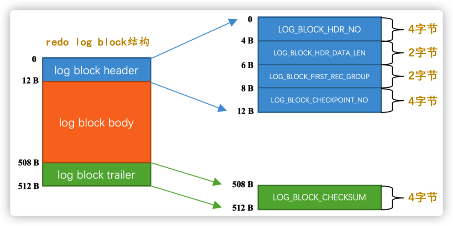 image-20220310115436620